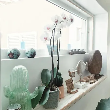 Casa Cactus Maison d'hôtes Corralejo