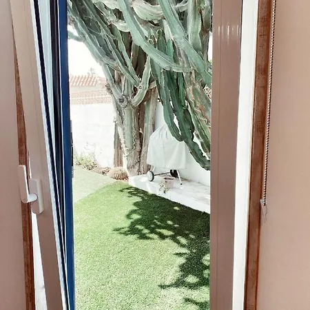 Casa Cactus Affittacamere *