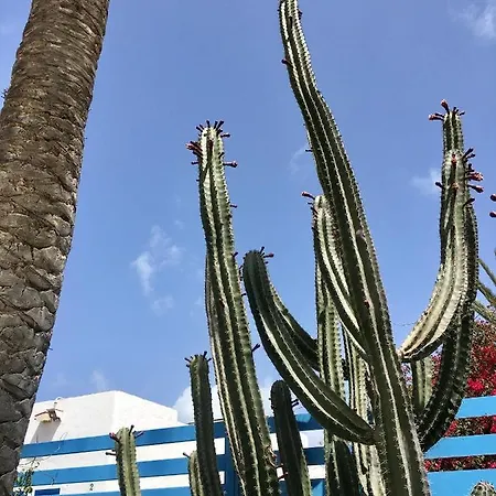 Casa Cactus Κοραλέχο